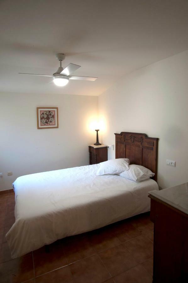Atico Del Holandes Apartment Balaguer Exterior foto